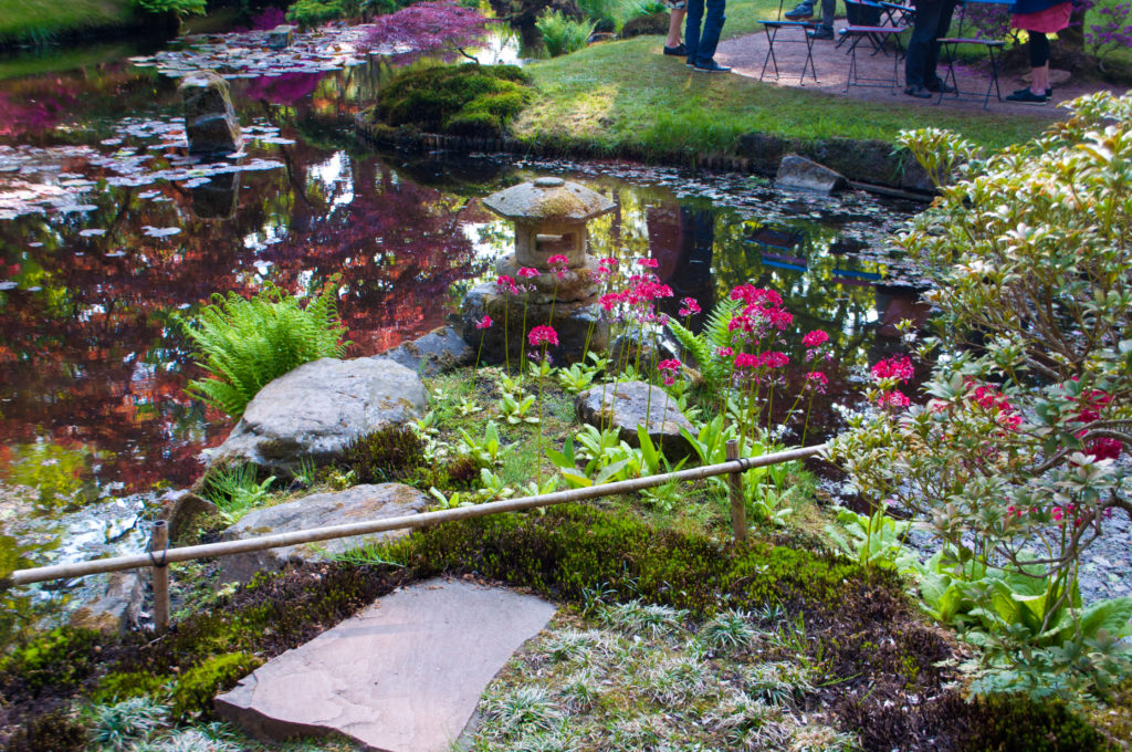 Japanese pond